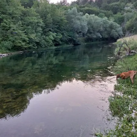 Vakantiehuis Vikendica Savic